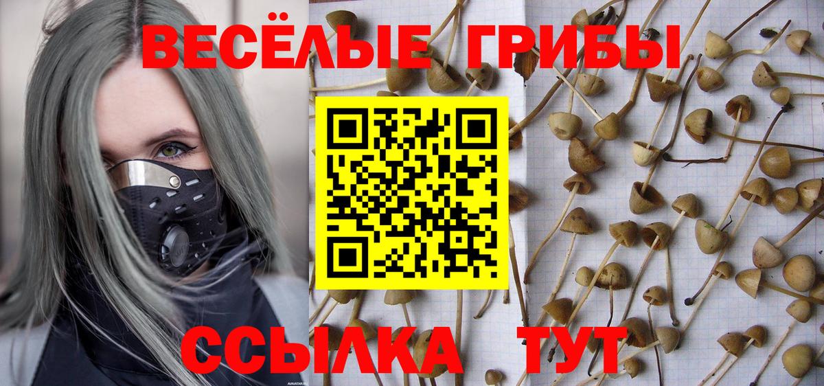 Галлюциногенные грибы Magic Shrooms Видное