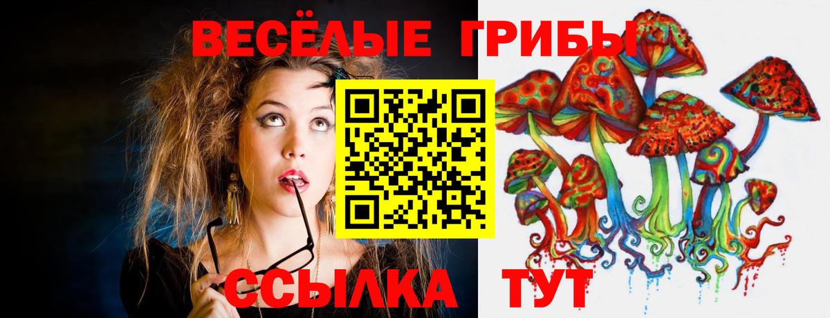 Видное  Псилоцибиновые грибы мицелий  Вход с VPN  Галлюциногенные грибы Psilocybine cubensis 